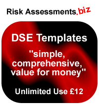 DSE Risk Assessment Templates Unlimited Use £12